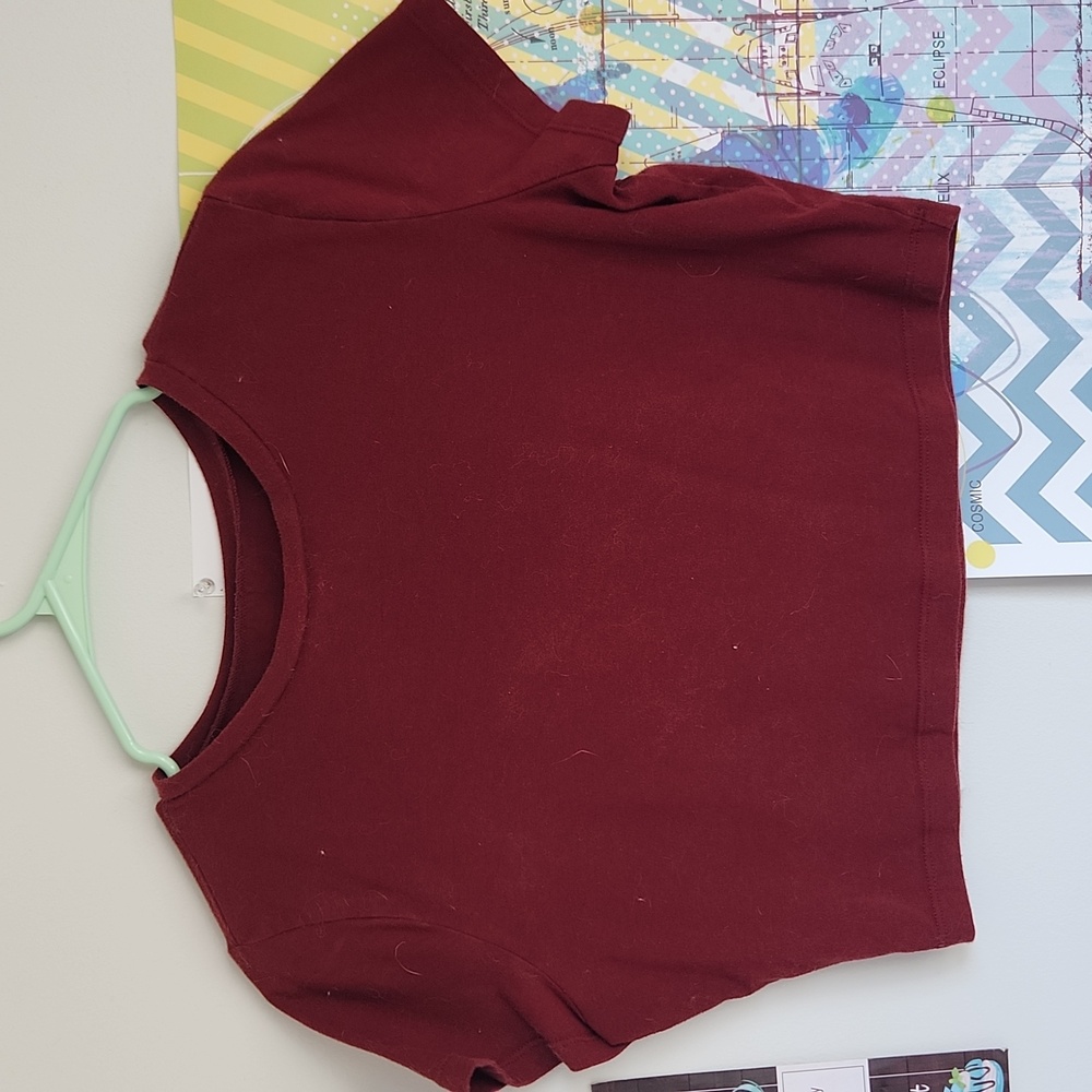 maroon wild fable crop top